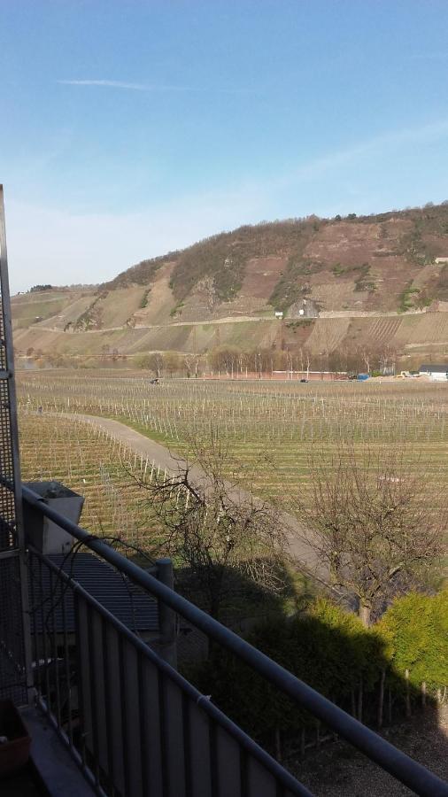 Gaestehaus Moselblick Trittenheim Eksteriør billede