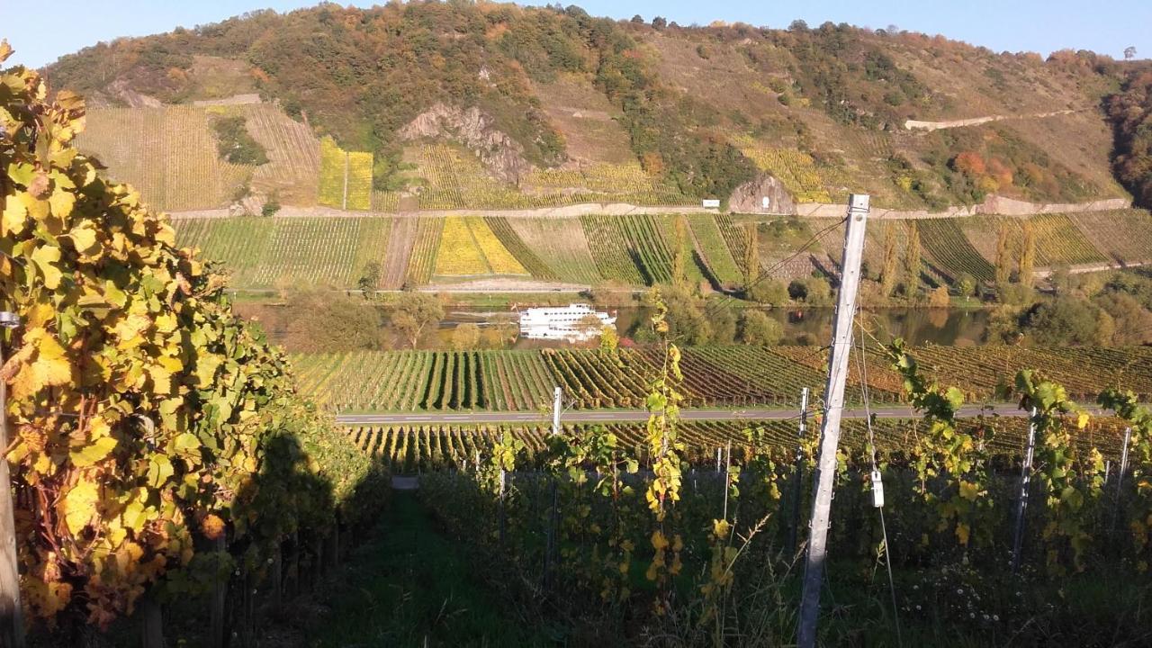 Gaestehaus Moselblick Trittenheim Eksteriør billede