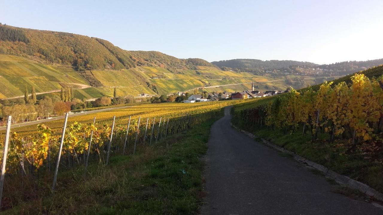 Gaestehaus Moselblick Trittenheim Eksteriør billede