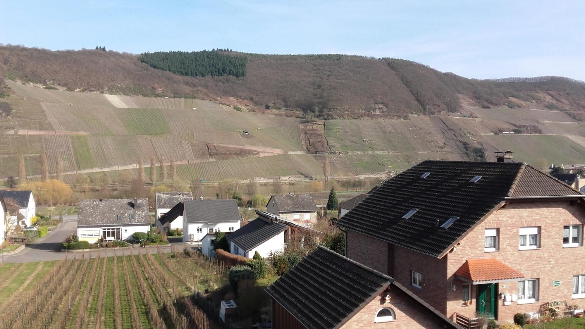 Gaestehaus Moselblick Trittenheim Eksteriør billede