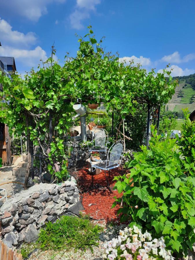 Gaestehaus Moselblick Trittenheim Eksteriør billede